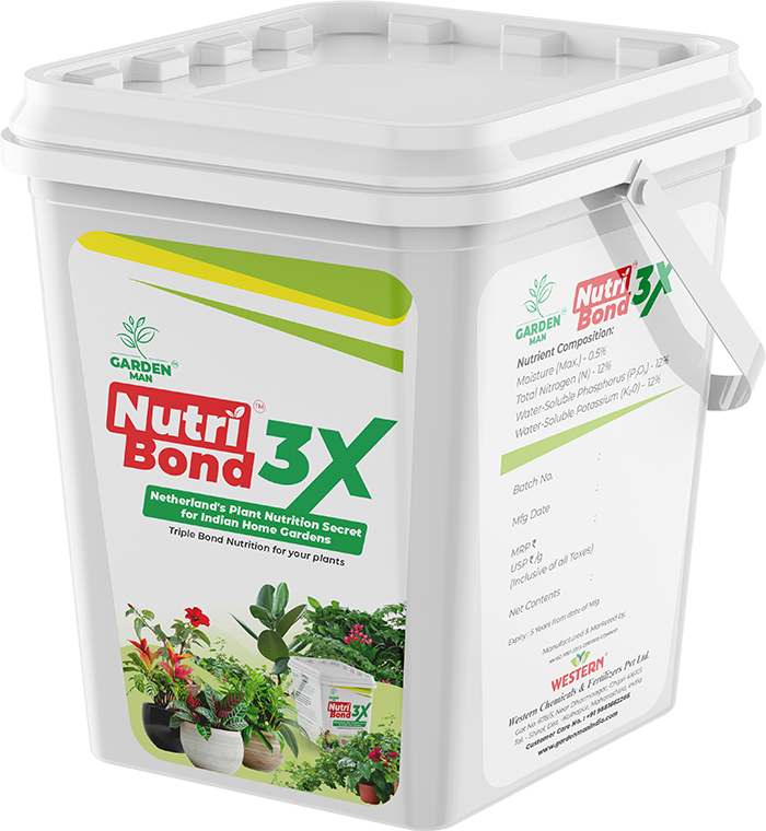 Our Product