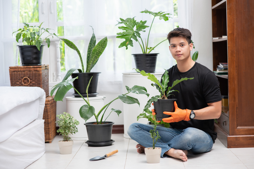 Boost Your Home Garden Growth with NUTRIBOND 3X