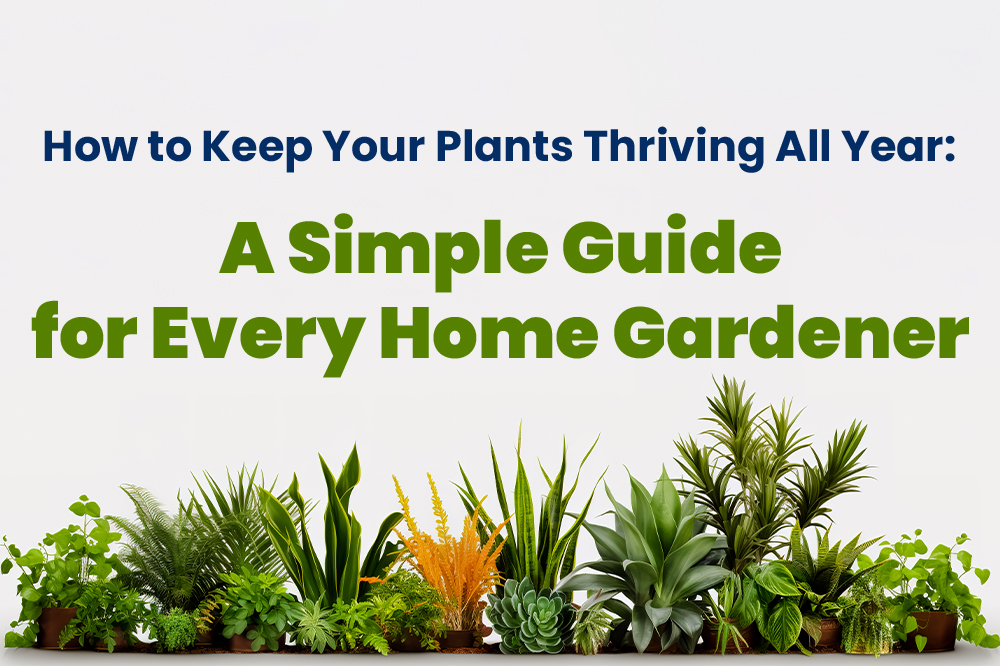 How to Keep Your Plants Thriving All Year: A Simple Guide for Every Home Gardener